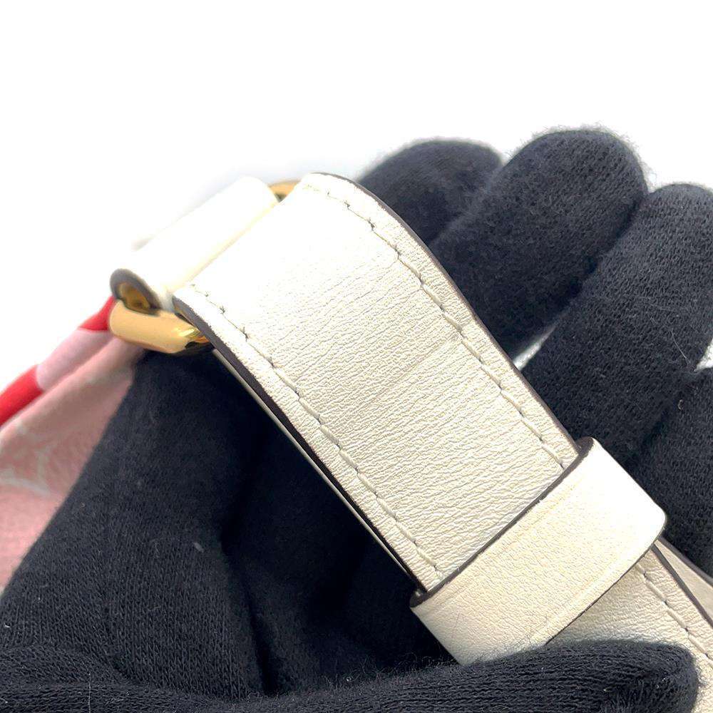 Louis Vuitton Red Bumbag Bag Clutch Giant Waist Monogram View 6